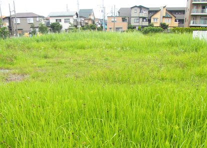 コインパーキング用地